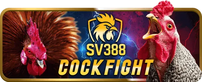 Bàn Baccarat với các lá bài và chip, thể hiện sự đa dạng trò chơi